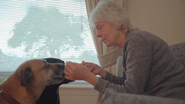 Edinburgh Dog and Cat Legacy Film